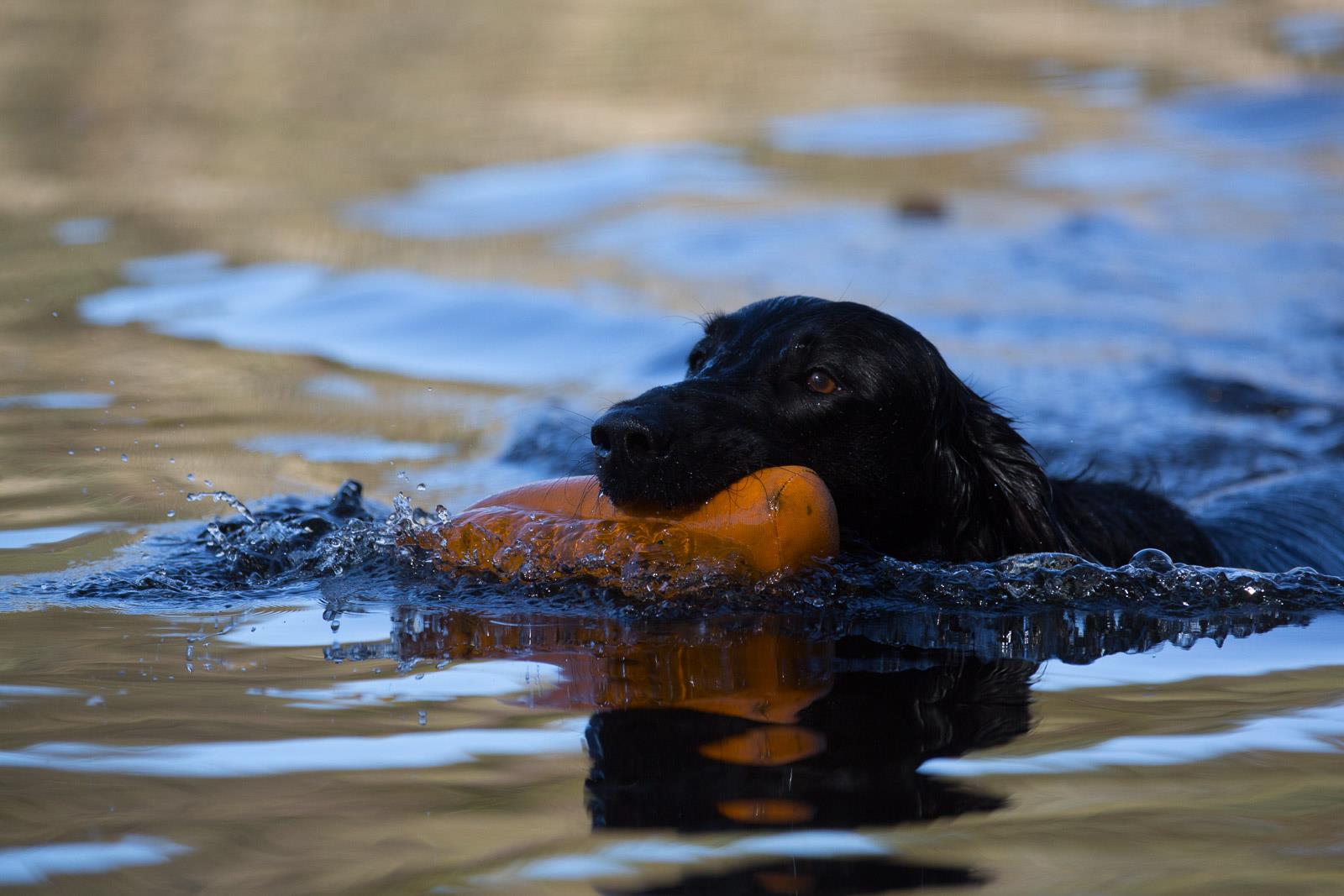 20141019 IMGL9740 (Kopie)